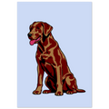 9cf108ad-0118-4717-88de-6e070a93c3d5